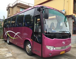 Shanghai Coaches